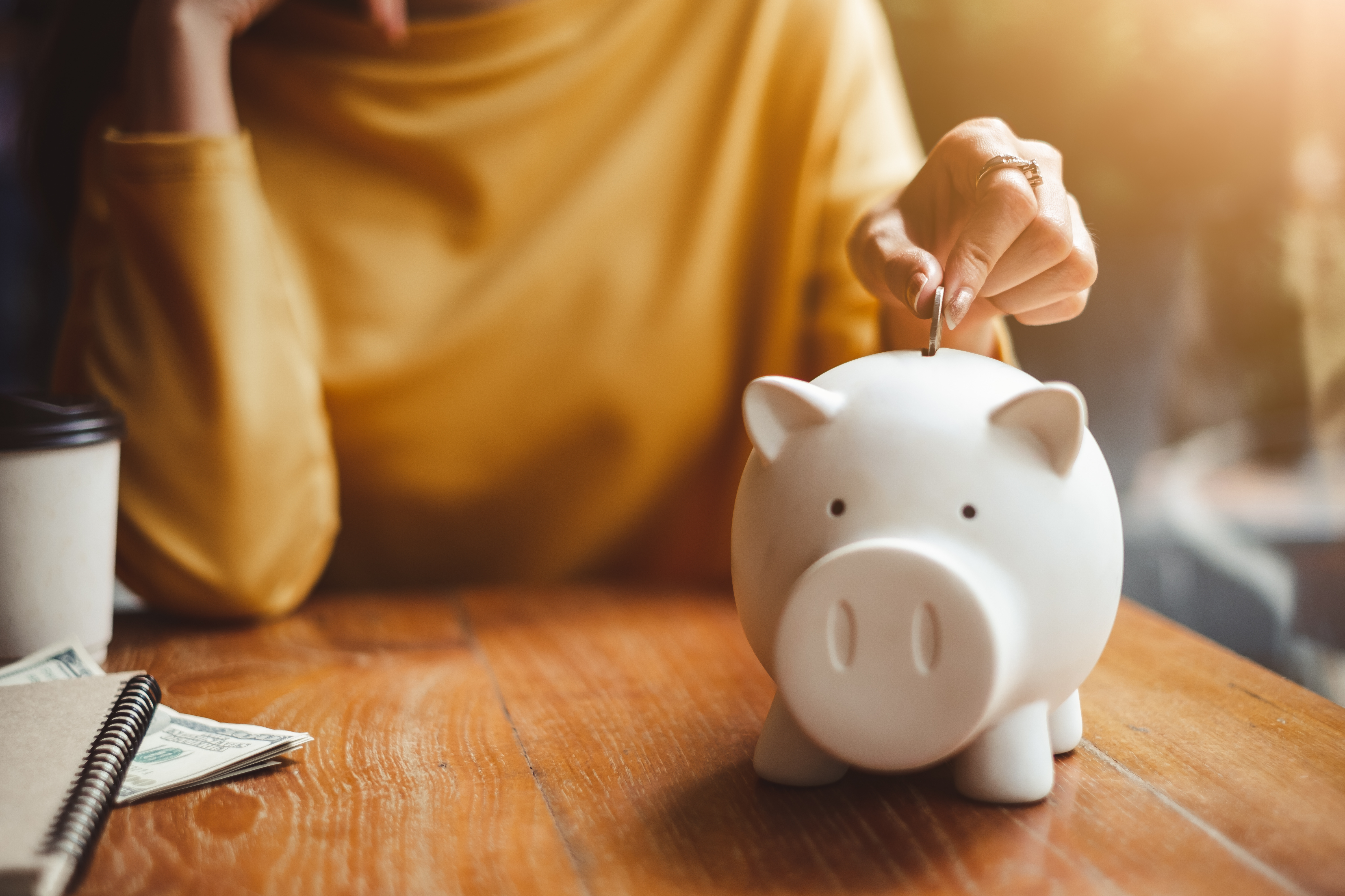 Female_and_Piggy_Bank_-_AdobeStock_222285480