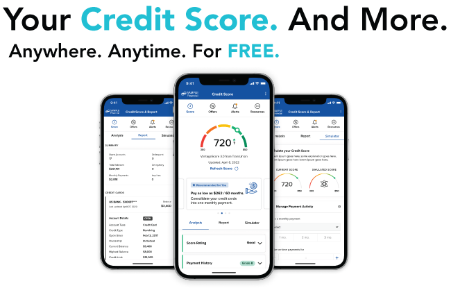 Image-Credit-Score-and-More-primary_650x415