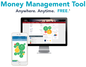 Image-Money-Management-Tool_292x230
