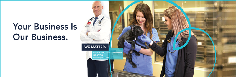 HERO_Your-Business-Is-Our-Business_Shenandoah-Vet_1900x620